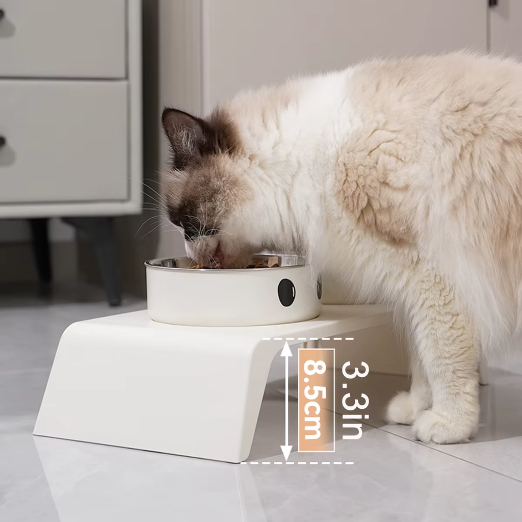 Raised Adjustable Height Dog Feeder Elevated Double Stainless Steel Pet Food Water Bowl Non‑Slip Base Anti‑Spill Design Ergonomic Dog Bowl Stand With Slow‑Feed Bowl For Small Medium Large Dogs Daily Feeding Supplies
