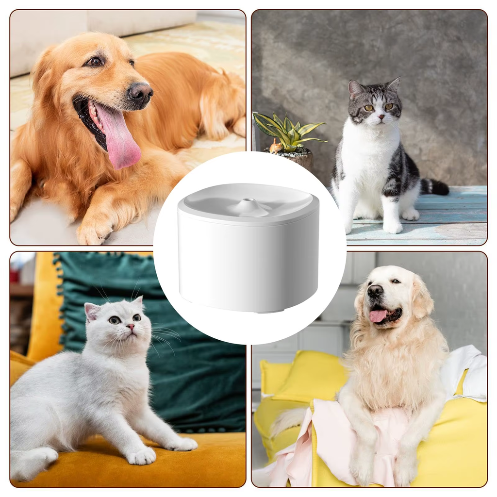 Cat Water Bowls Fountain - USB Powered Quiet Automatic Bowl  Cat Drinking Fountain Water Dispenser - for Kitten Puppy Dog Indoor Home Apartment Living Room Balcony