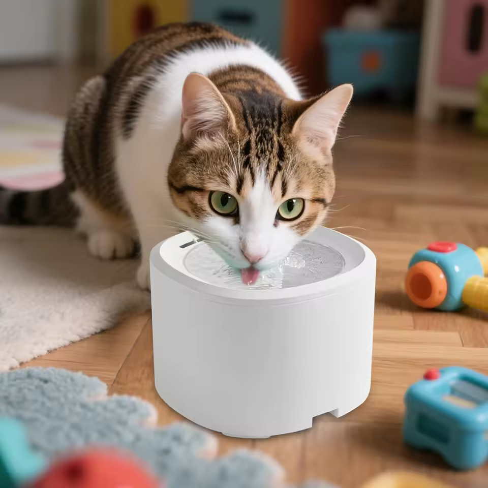 Cat Water Bowls Fountain - USB Powered Quiet Automatic Bowl  Cat Drinking Fountain Water Dispenser - for Kitten Puppy Dog Indoor Home Apartment Living Room Balcony