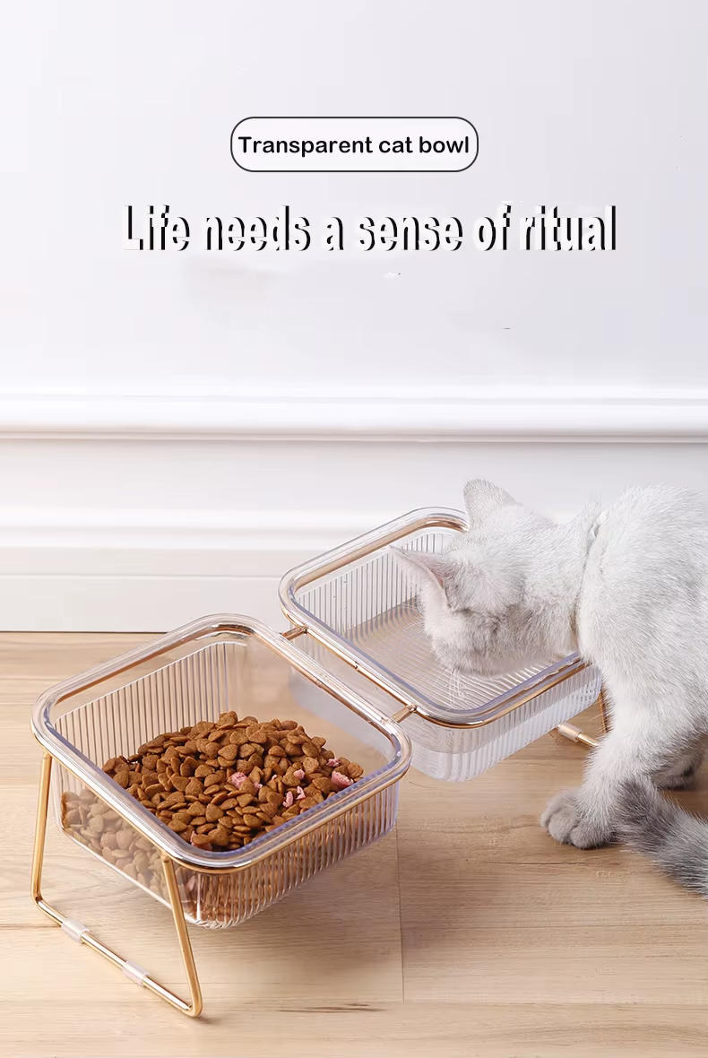 Pet Double Bowl Transparent High Foot Cat Bowl Drink water Cat Food With Golden Stand Raised Water Feeder Dog Bowl Supplies